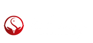 De voordelen van een massage Arnhem!